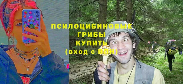 амфетамин Алексин