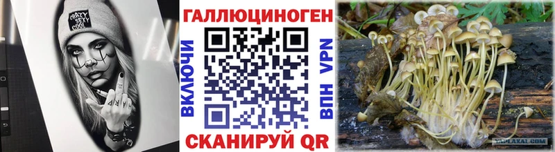 Псилоцибиновые грибы Magic Shrooms Подольск